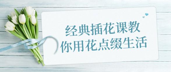 经典插花课教你用花点缀生活【吾爱收集】