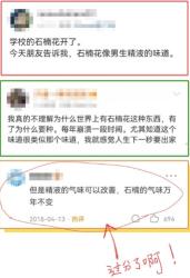 石楠花味道这么污，究竟TM为啥还满大街种啊？