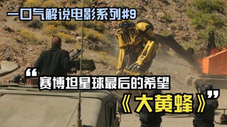 《大黄蜂》解说文案大黄蜂变成了大黄狗