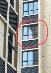 「我的邻居不是活人」？「骨灰房」到底是怎么出现的？