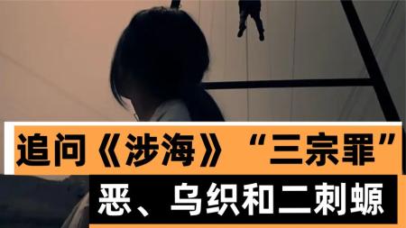 《涉海》追问《涉海》三宗罪——恶、乌织和二刺螈