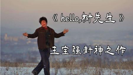 《Hello！树先生》解说文案今天把王宝强《hello树先生》第一次完整看一遍，到现在都没缓过来