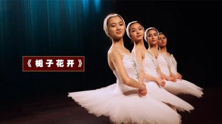 《栀子花开》解说文案《栀子花开》：何老师的不老塑料花