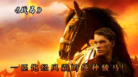 《战马》它是一部战争片，可从头到尾却没见一滴血，高分电影《战马》