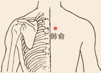 昼夜等长的「秋分」，古人到底在「忙」什么？