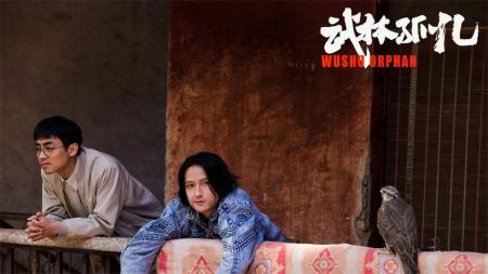 《武林孤儿》：怪异的国产佳作，探秘嵩山武校光怪陆离！067470931zh