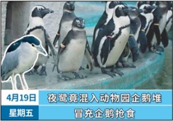 有哪些表面呆萌的动物背地里比你想得还要变态？