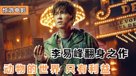 《动物世界》解说文案颅内高潮的真·国产大片，我看到了本土化的超级英雄