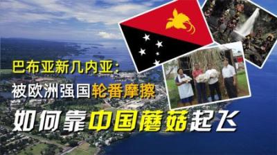 巴布亚新几内亚：被蹂躏几百年的太平洋小国，如何靠中国蘑菇起飞