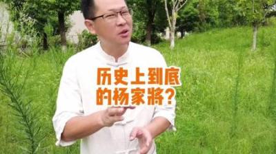 潘仁美有罪，潘美是无辜的——杨家将和潘仁美不得不说的故事