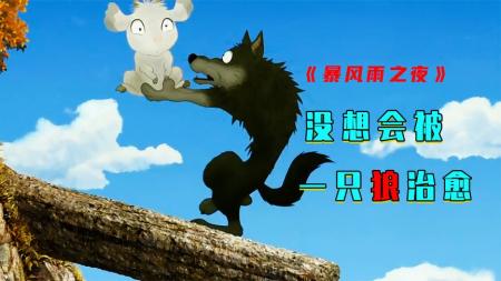 《暴风雨之夜》没想到会被一只狼治愈，说话嗲嗲的，很可爱《暴风雨之夜》