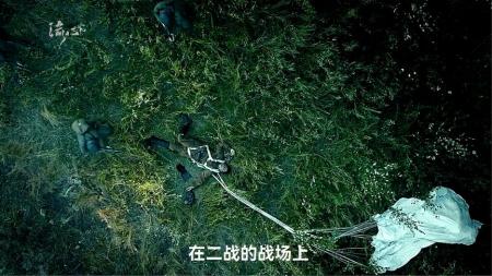 《德维塔耶夫》：《德维塔耶夫》：偷走德军轰炸机逃回苏联，硬核真实传奇故事改编二战电影