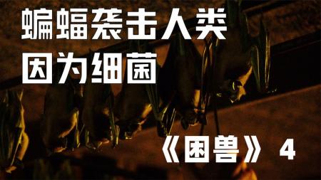 《困兽》：大量蝙蝠来到城市攻击人类，原因是农药饲料中，含有一种细菌.mp3