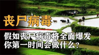 假如只有你提前7天知道，丧尸病毒将全面爆发，你该做什么？