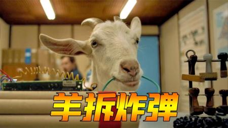 《寻羊勇探》：两个人一只羊，灭掉犯罪团伙！爆笑喜剧片《寻羊勇探》-爆笑喜剧片