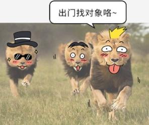 为什么体积越小的动物，精子越大？