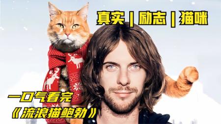 《流浪猫鲍勃》：《流浪猫鲍勃》：流浪汉捡来一只橘猫，竟变成了超级网红，真实事件改编的高分电影