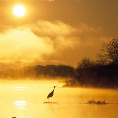 【励志】励志的英文桌面壁纸（关于学习的桌面壁纸英文）