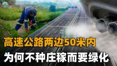 为什么高速两边50米内不能种庄稼？种出来的大米你可能不敢吃