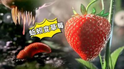 真是要命了，草莓竟然是蚯蚓演变而来的，奇趣动画
