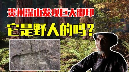 《大脚印》解说文案《大脚印》——丛林大脚，揭秘野人谜相