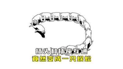插头和插座互通电源，竟然组合成一只蜈蚣