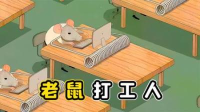 老鼠也不容易，上班打工996，比人类还要苦