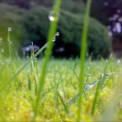 【伤感】没钱惹的祸经典语录