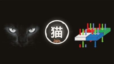 为什么猫眼具有“夜视”能力，但人却不行？