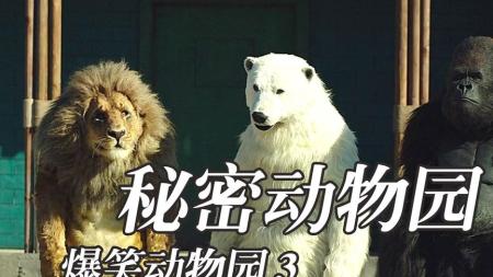 11分钟看完韩国最新爆笑喜剧电影《秘密动物园》电影：大猩猩砸了韩国人的商店，还抢走了监控，这事竟然是人为的