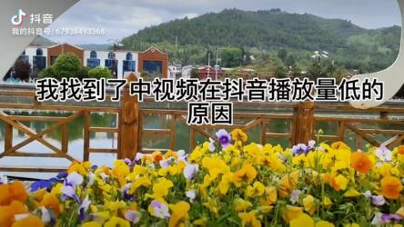 深度拆解抖音视频审核机制，抓出抖音视频播放量低的原因