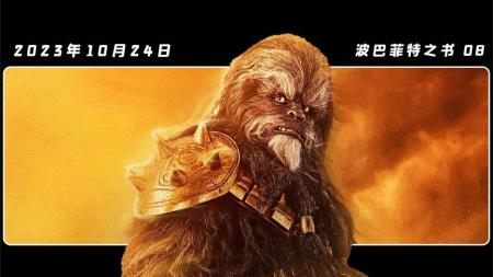 《波巴菲特之书8》来自夜晚的暗杀，一群人都打不过他一个？？！