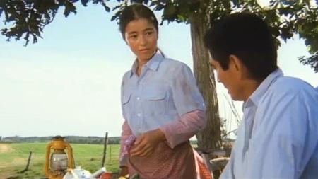 《远山的呼唤》：详解《远山的呼唤》：东方式的爱情宣言.mp3