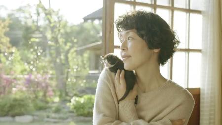 剧情《山中的汤姆先生》电影解说文案（山中的汤姆先生 豆瓣）