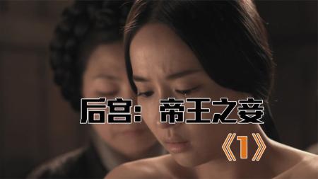 剧情电影《后宫：帝王之妾》解说文案片源素材