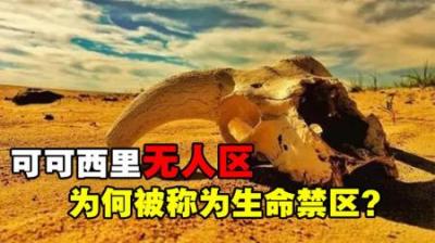 危险度最高的禁区之一，可可西里有多恐怖？为何不允许随意进入？