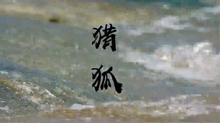 《猎狐》解说文案《猎狐》：开播之前就注定会成为国产剧的爆款！