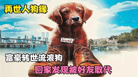 剧情电影《再世人狗缘》解说文案