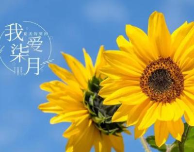 七月的启示&mdash;&mdash;探寻7月1日的独特意义