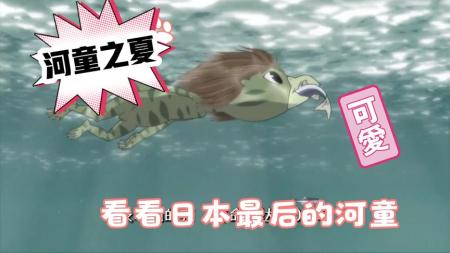 动画电影《河童之夏》解说文案(日本河童动画电影)