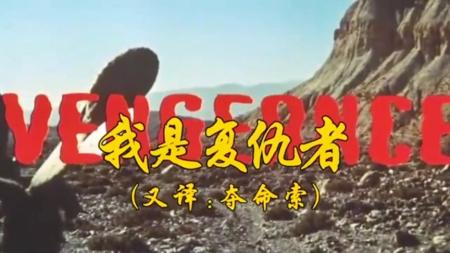 动作《我是复仇者》电影解说文案 解说素材