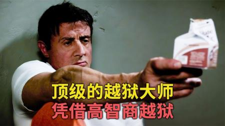 《金蝉脱壳》解说文案《金蝉脱壳》：任务定制版虎胆龙威