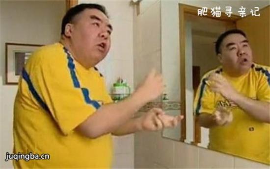 《肥猫寻亲记》_第1-3集_分集剧情