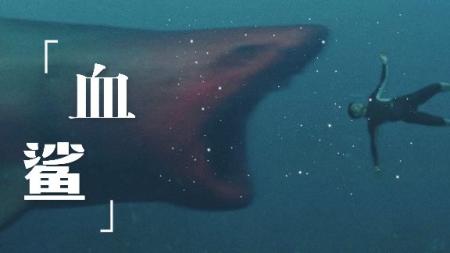 国产电影《血鲨》解说文案完整版7分钟
