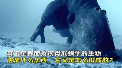 冥王星发现类似蜗牛生物，这是什么东西，它是怎么形成的？
