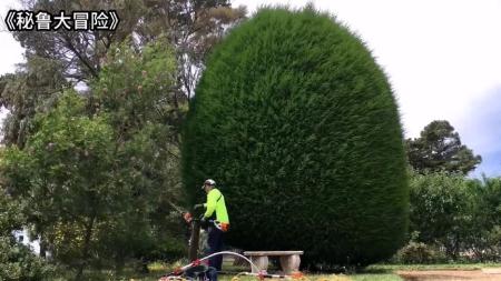 《秘鲁大冒险》解说文案有诚意的动画-《秘鲁大冒险》