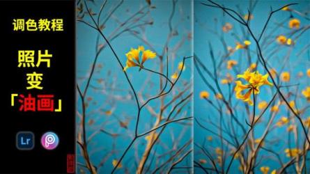 【课程】摄影调色教程