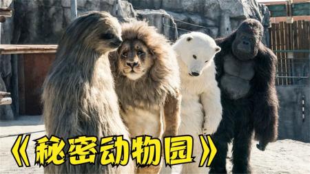 喜剧电影《秘密动物园》解说文案 解说素材