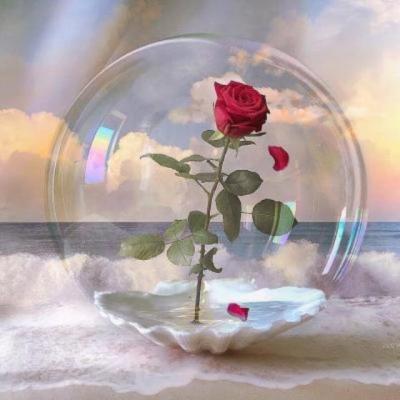 【经典】吃火锅怕胖的搞笑说说（美食搞笑说说）