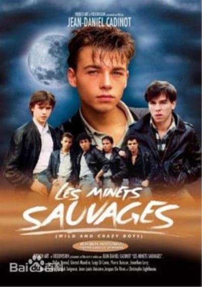 《流浪爱侣》【彩云自译】流浪爱侣法版DVD源环绕声配独家中字